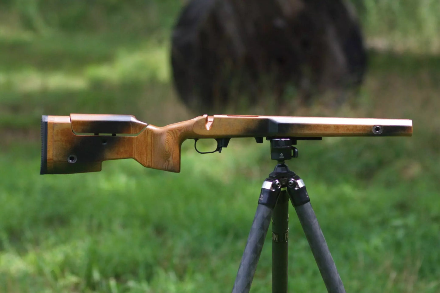 Foundation Centurion