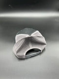 NPS Snap Back Hat